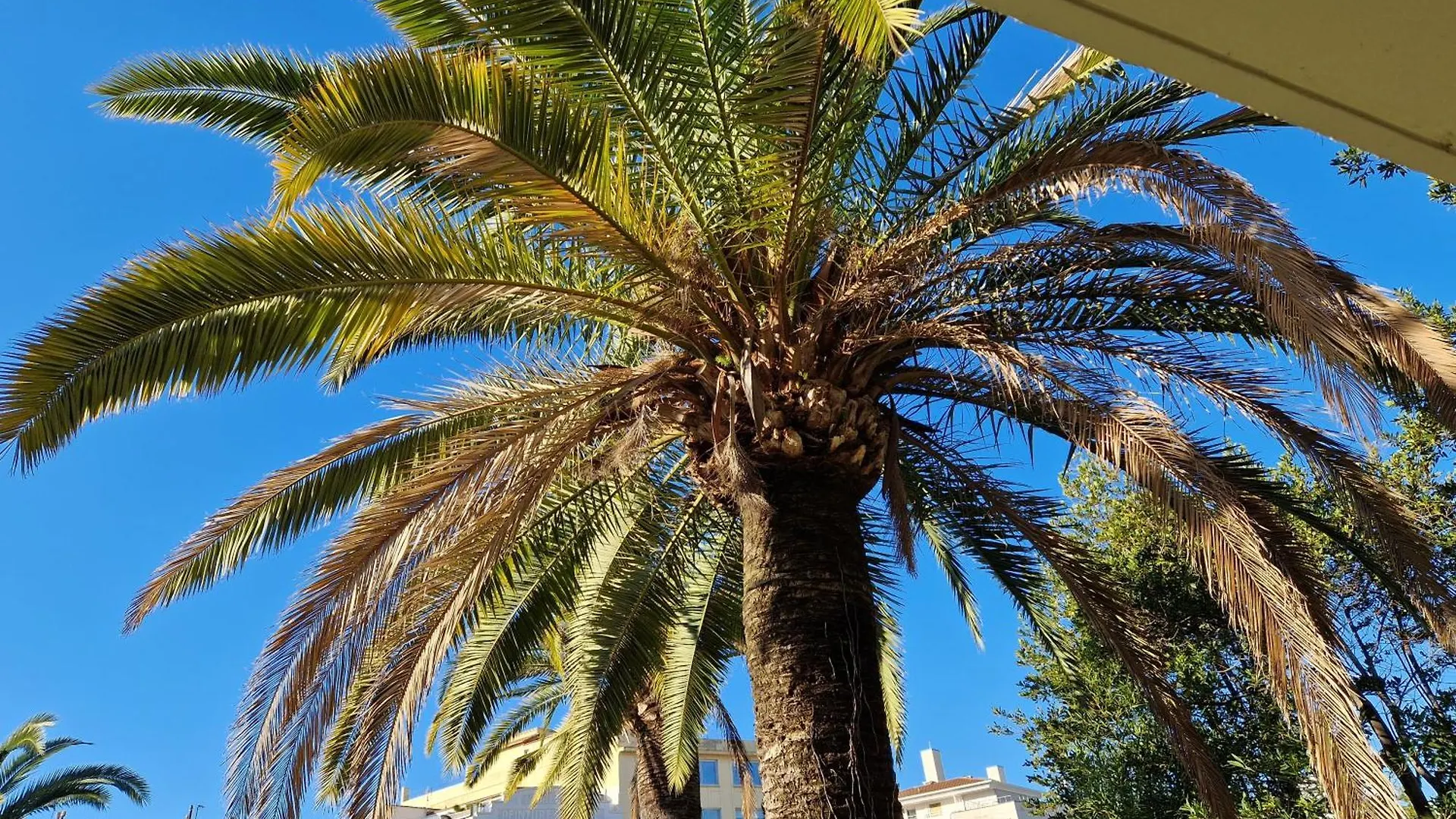 Cannes Pres Croisette Beau 2 Pieces 3 Etoiles Apartment